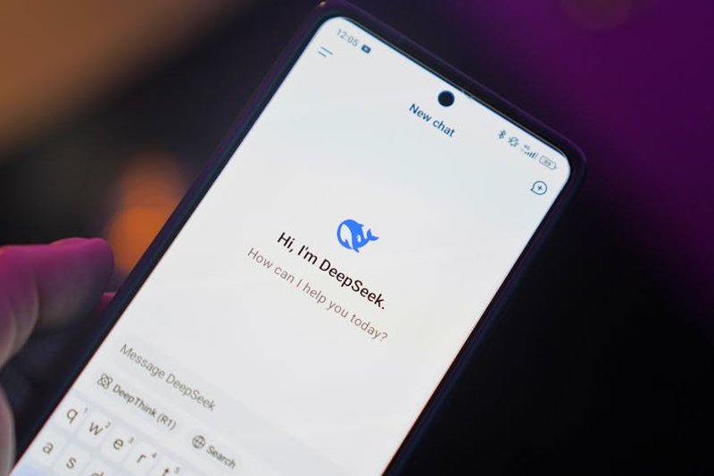 developer using IDE with AI assistant - claude code pro plan
